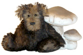 Fluff - a 5 ¼ inch Bear by Claire Nicholson